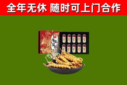 围场回收冬虫夏草价格